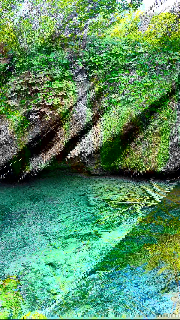 taylor.creeden taylor.creeden archive image