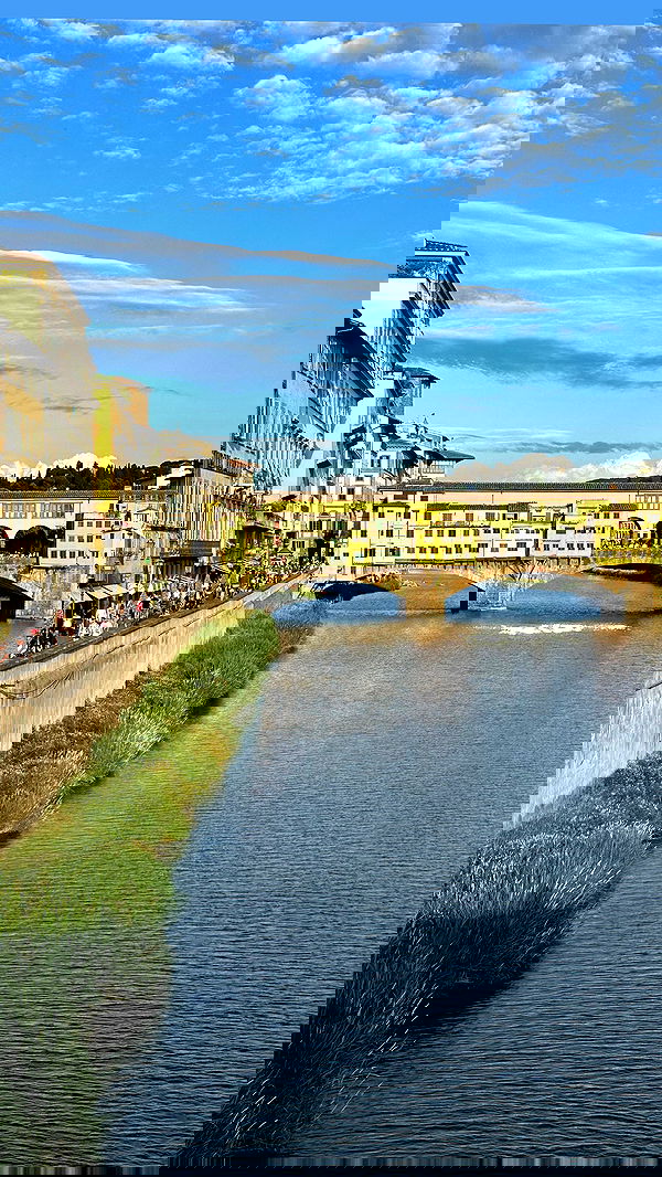 taylor.creeden taylor.creeden archive image