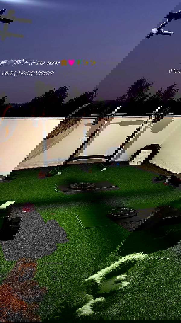 noammalka___ noammalka___ archive image