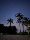 gritsa.k Altpins Profile Picture