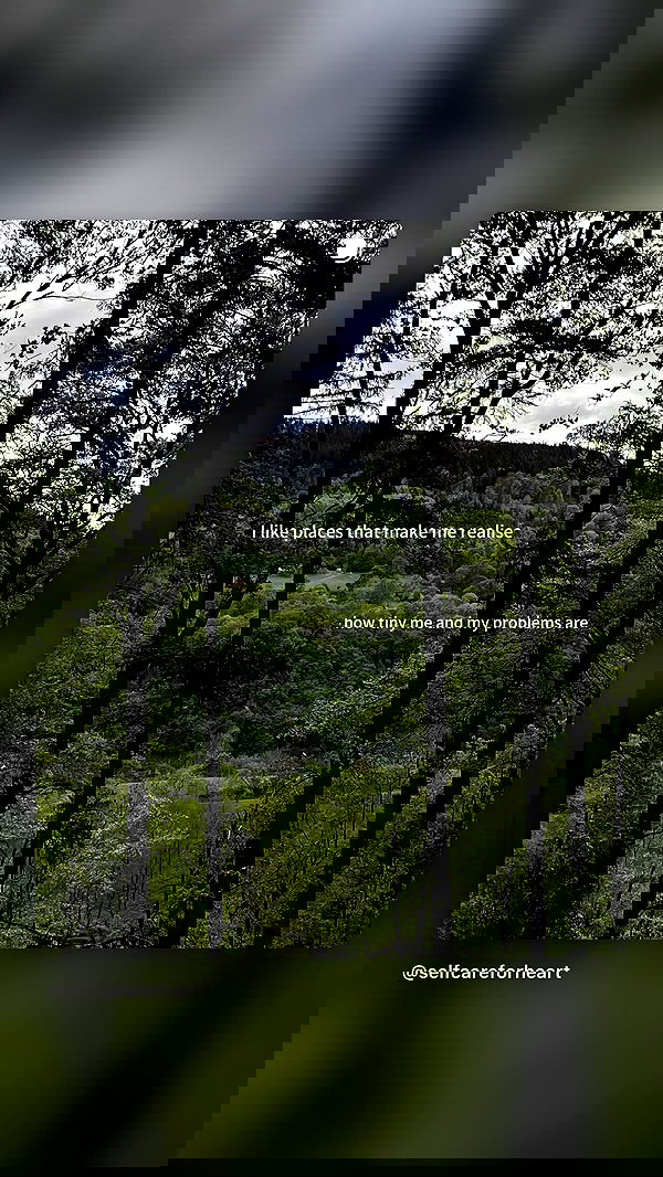 strawberryshanz strawberryshanz archive image