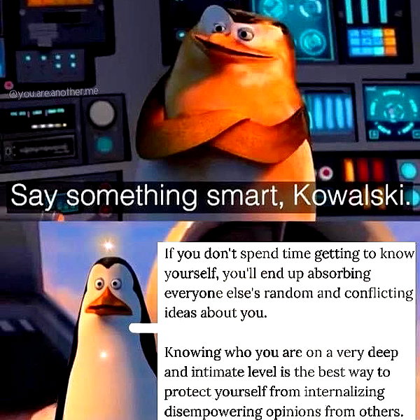 zylavale instagram image archive image