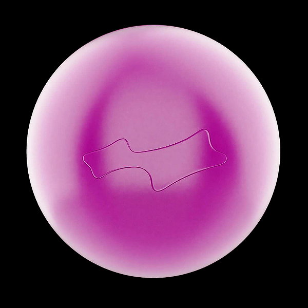 lilbieber instagram image archive image