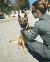 orman.mariee Altpins Profile Picture