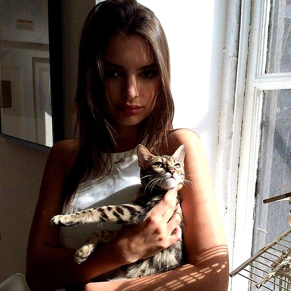 emrata instagram image archive image