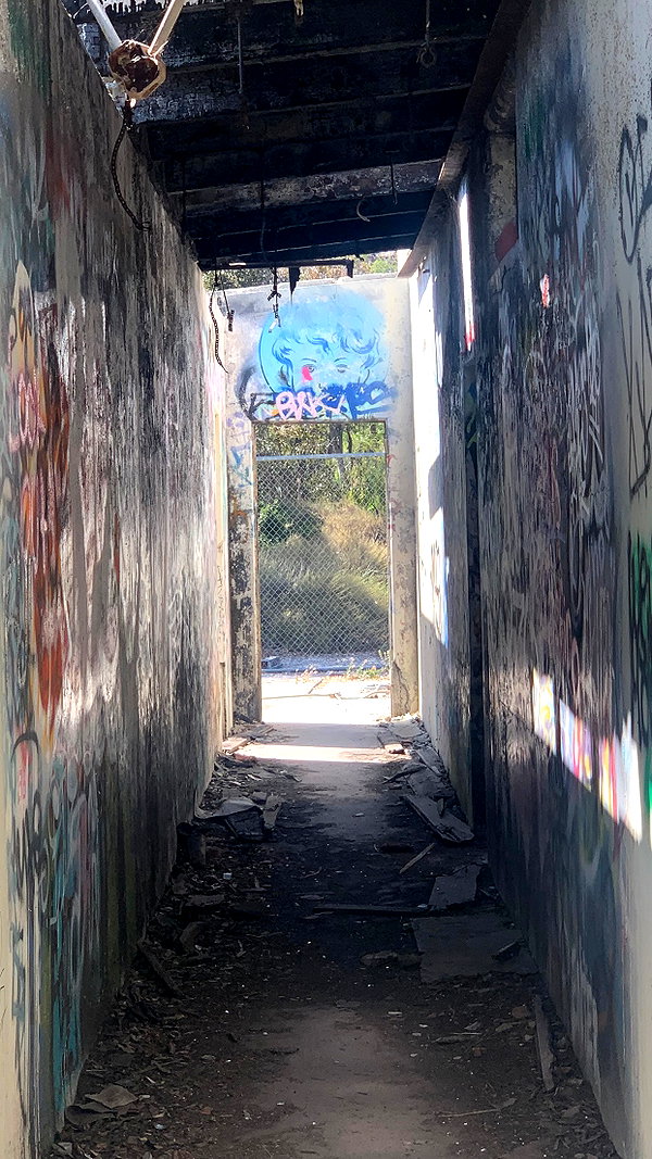 gargoyol instagram image archive image