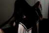 veildose Altpins Profile Picture