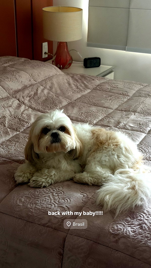Archived image from @gabimfmoura on Instagram