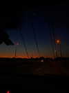 sophiecharlotth Altpins Profile Picture