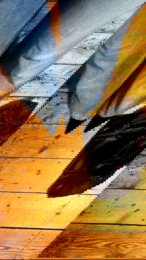 kitty.elliss kitty.elliss archive image