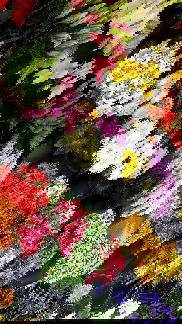 taylor.creeden taylor.creeden archive image