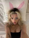 v.qx Altpins Profile Picture