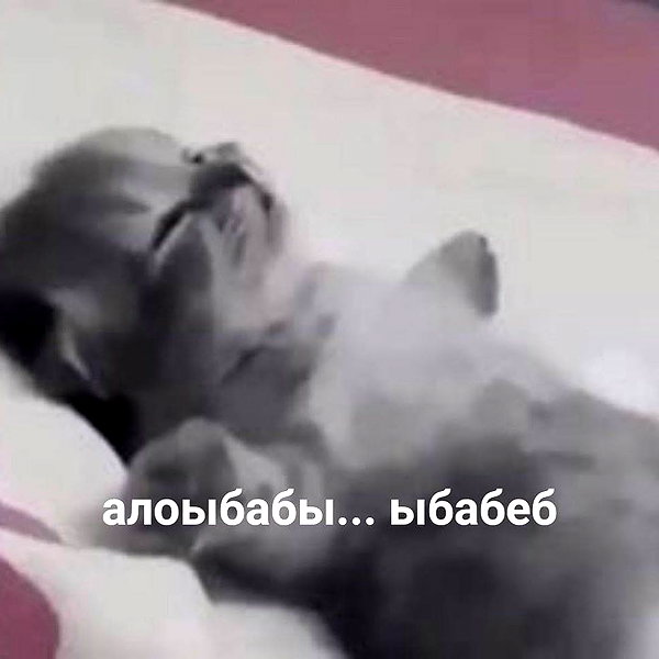 glowmoonshorty instagram image archive image