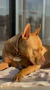 olivia.mathers Altpins Profile Picture