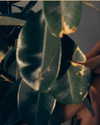 sagi.photo Altpins Profile Picture