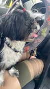 babynympho_archive Altpins Profile Picture