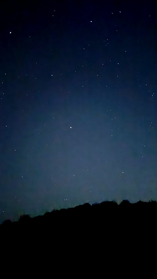 zommmbri instagram image archive image
