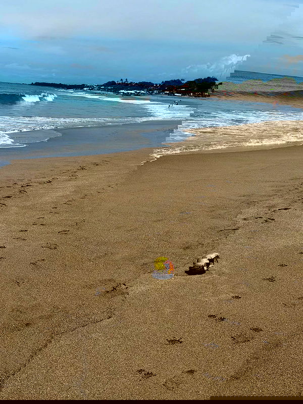 taylor.creeden taylor.creeden archive image