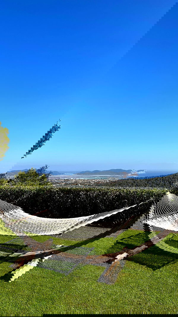 taylor.creeden taylor.creeden archive image