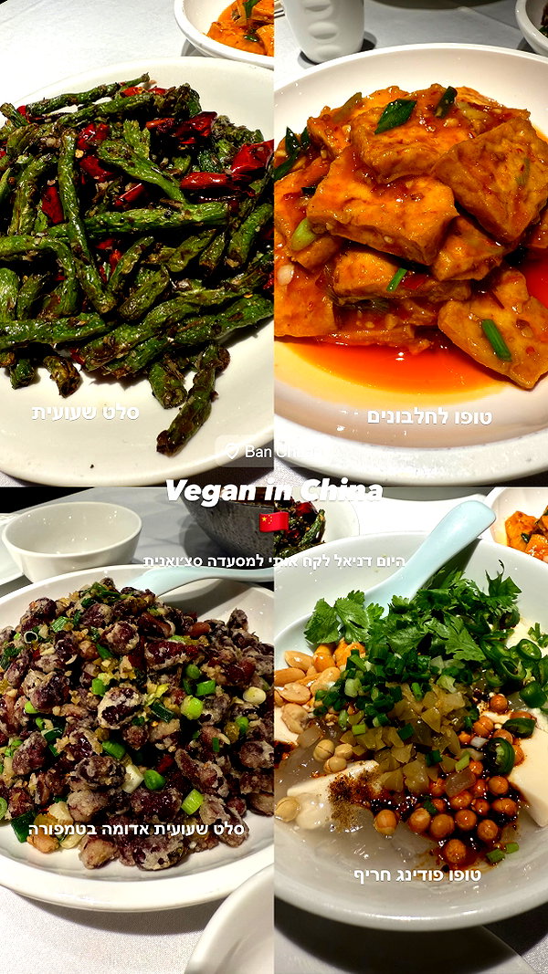 kesemgreenyer instagram image archive image
