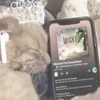 1uvgabi Altpins Profile Picture