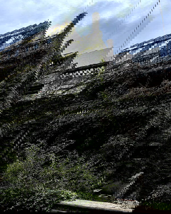 naia_gg naia_gg archive image