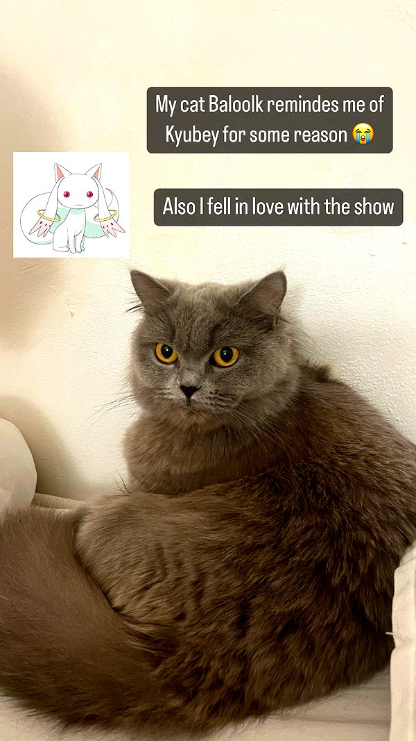 chibinekopurr instagram image archive image