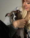 lilih Altpins Profile Picture