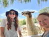 sadiesink_ Altpins Profile Picture