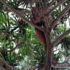 kafelnikova_a Altpins Profile Picture