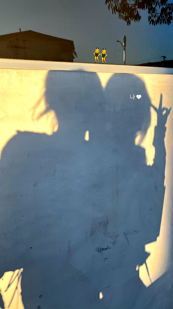 daxbin instagram image archive image