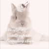 1uvgabi Altpins Profile Picture