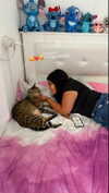 shanidahan7 Altpins Profile Picture