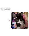newmakeupgoddess Altpins Profile Picture