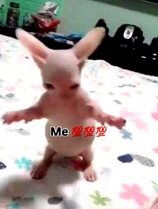 milkibunshehe instagram image archive image