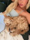 sophiecharlotth Altpins Profile Picture