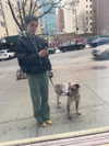 reneeebeller Altpins Profile Picture
