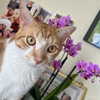 ohheyanastasia Altpins Profile Picture