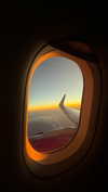 amit.yaron Altpins Profile Picture
