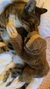 olivia.bolgerr Altpins Profile Picture