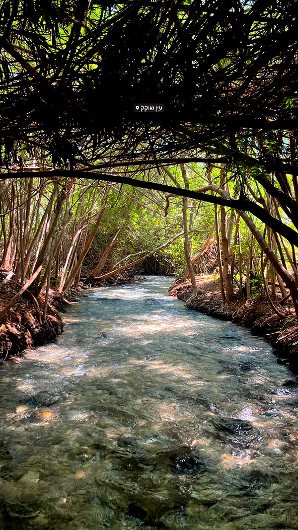 tamar_tsur instagram image archive image