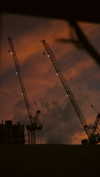 shaipearlman Altpins Profile Picture