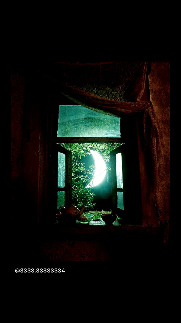 haileylayfield archive image