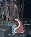 ellaexplicit_ Altpins Profile Picture