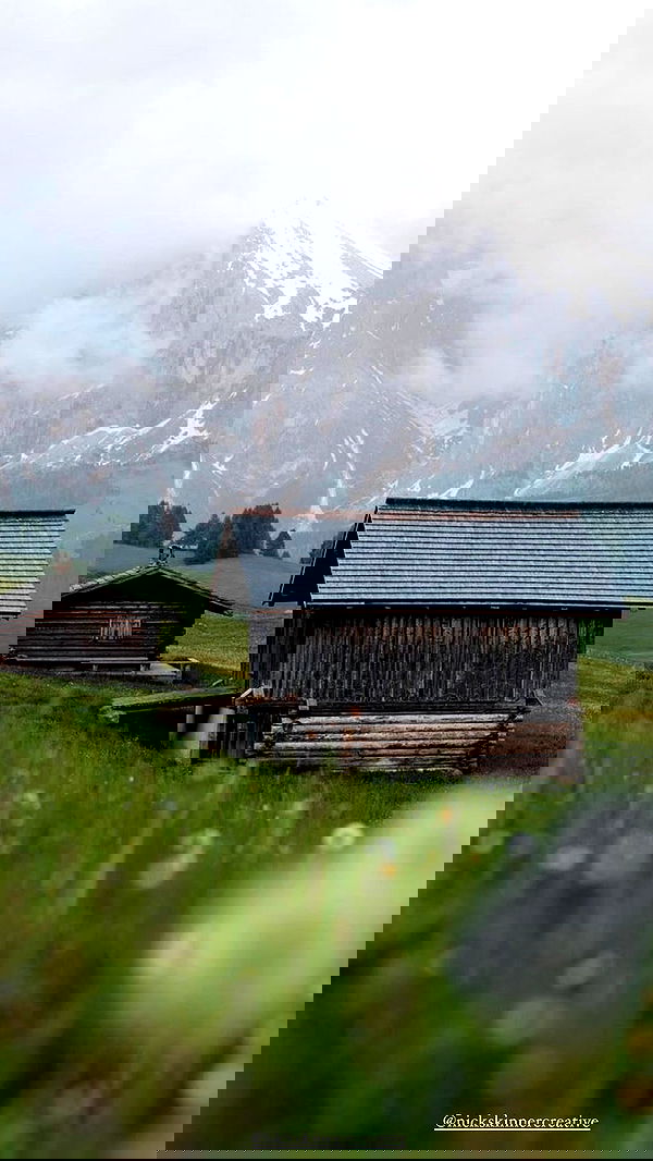 taylor.creeden taylor.creeden archive image