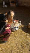 katrina.zaiceva Altpins Profile Picture