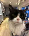 777pb_ Altpins Profile Picture