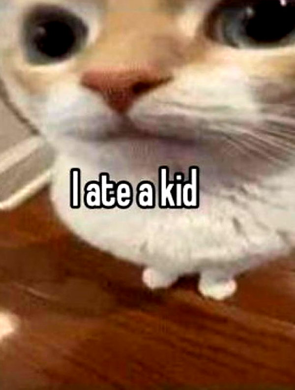 milkibunshehe instagram image archive image
