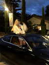 sonia_litvanchuk Altpins Profile Picture