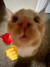 milkiwifey Altpins Profile Picture